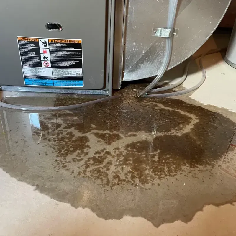 Appliance Leak Cleanup in Hernando, MS